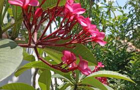 Casa Aconchegante - Foto 26