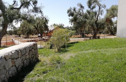 Agriturismo Marconi - Foto 10