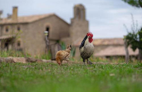 Casa rural Sant Grau turismo saludable y responsable - Foto 39