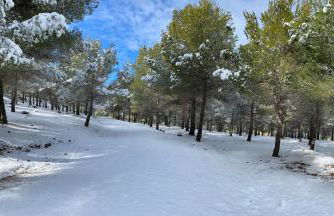 La casita del pueblo - Foto 36