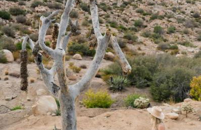 Heaven's Door By The Cohost Company - Foto 10