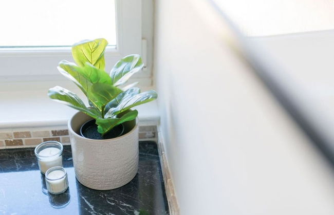 Mary Street Seaside Home in Stonehaven Aberdeenshire - Foto 23