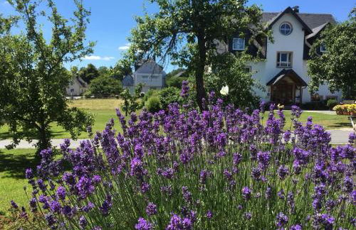 Gästehaus Frankenwaldhof - Foto 50