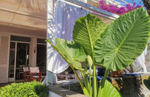 Casa de la Luna - Foto 6