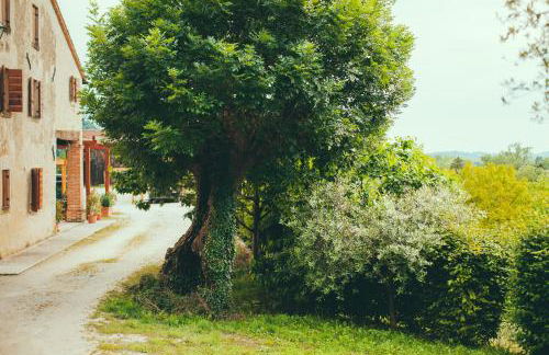 Asolo Norah's Hill Agri Rooms - Foto 101