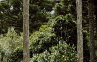 Reserva Cabanas - Foto 78