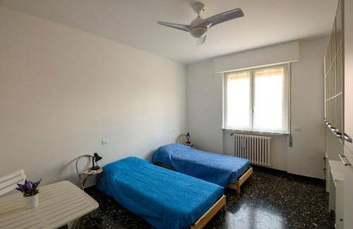 Chiwi's Home 2 - Photo 29