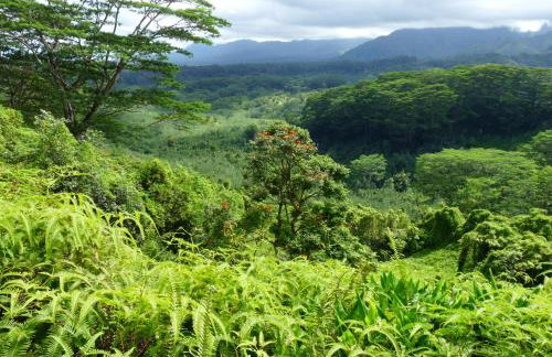 Kiahuna Plantation 96, Poipu Beach, Club Membership, Part Ocean View, Kids Toys - Foto 40