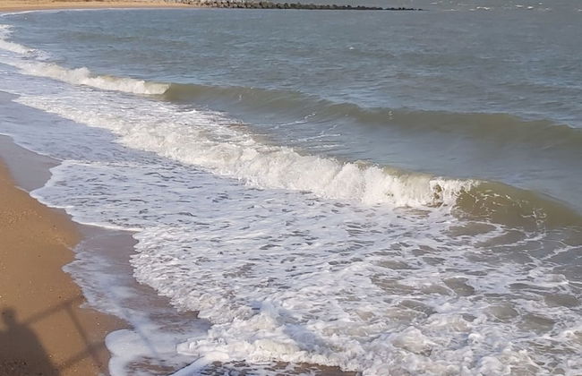 Adorable 2 Bedroom Caravan in Clacton-on-sea - Foto 29