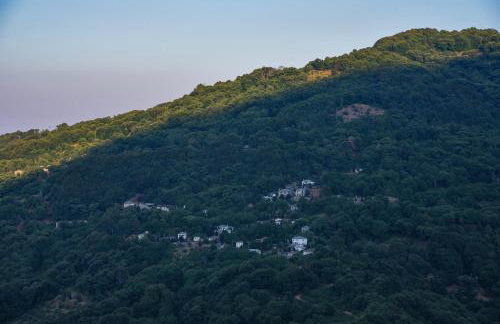 Kissos Experience - Foto 24