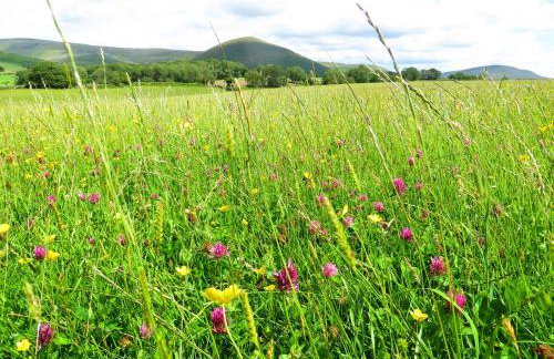 Shepherds View - Foto 18