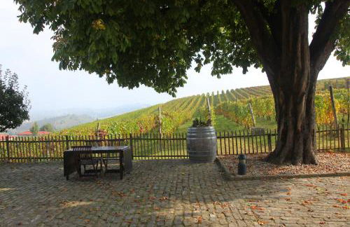 Agriturismo Cascina del Rosone - Foto 17