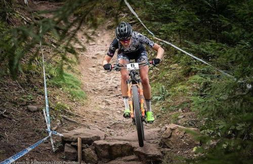 Haus Meinecke - Foto 24