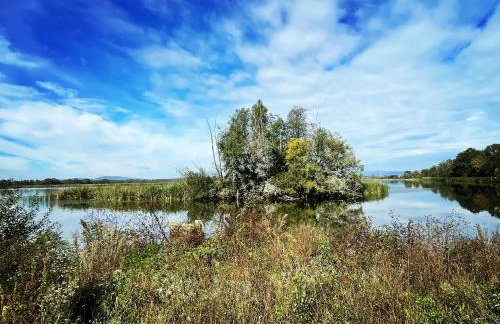 Lovačka kuća Draganić - Foto 46