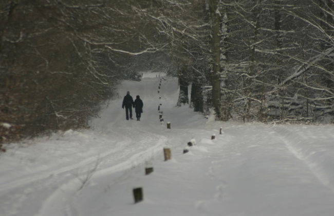 Chalet in Ootmarsum on Kuiperberg - Foto 27