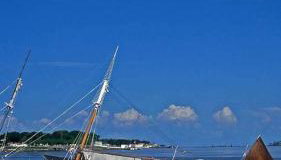 Hoste sol nascente - Foto 4