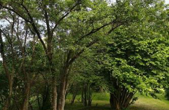 Holiday Home Huus an`t Dörpsdiek by Interhome - Foto 26