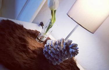 Ferienwohnung auf der Hilkenhöhe - Foto 3