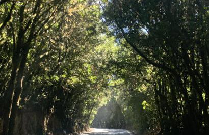 Vivienda vacacional Retiro de Vueltas - Foto 24