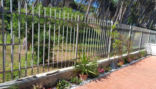 Bibbona Summer - Pineta 1 - - Foto 4