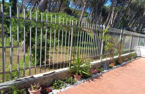 Bibbona Summer - Pineta 1 - - Foto 4