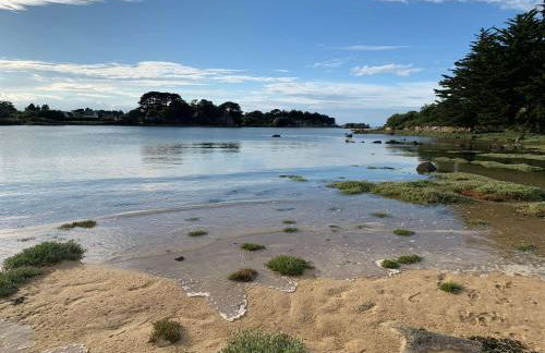 Les Villas d'Onalou - Buguélès - Foto 35