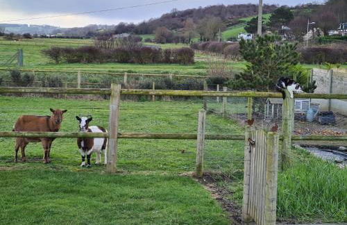 LES TAMARIS, Villa face à la mer, emplacement privilégié - Foto 55