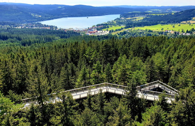 Residence Lipno - Foto 20