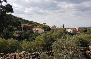 Monte Das Ferrarias - Foto 32