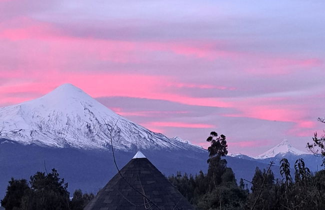 Casa Pumahue - Foto 18