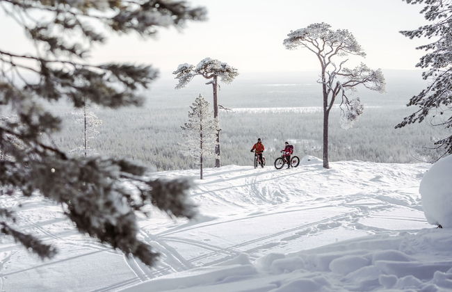 Ski-Inn PyhäSuites - Foto 35
