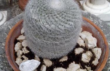 Apartments Rinčić - Photo 75