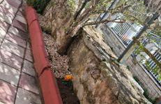 Casa Daniel - Foto 28