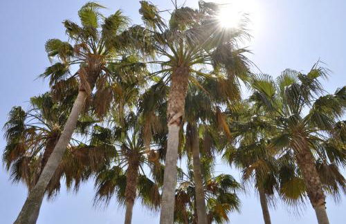 Family Beach Club Sevilla II - Photo 24