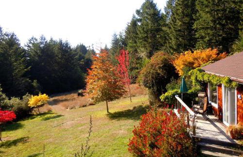 Rural Vacation Cottage near the Coast and the Town of Albion in Northern California - Foto 19