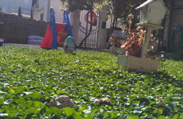 Ivano Apartments - Foto 60