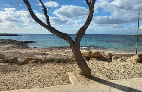 Casa Estrella de Mar - Foto 42