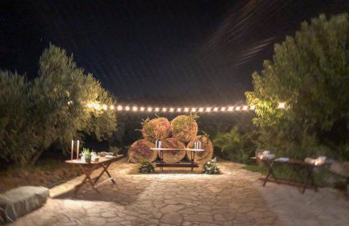 Fattoria Manostalla Villa Chiarelli - Foto 87