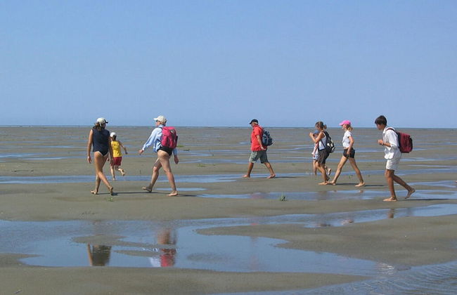 Thatched Roof House Kehl - Foto 5