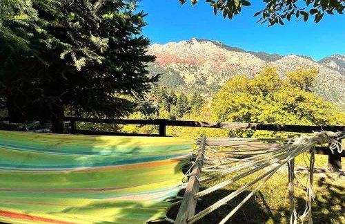 Pinecone Lodge, Eptalofos Wellness Garden Chalet - Foto 48