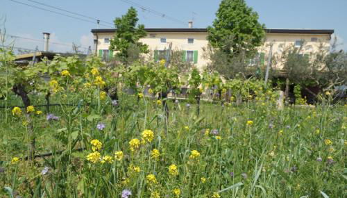 Agriturismo Sol De Montalto - Foto 2