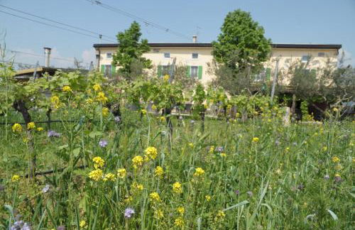 Agriturismo Sol De Montalto - Foto 2