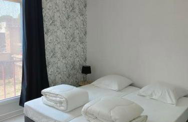 Martin Appartement Cambrai avec cour - Foto 16