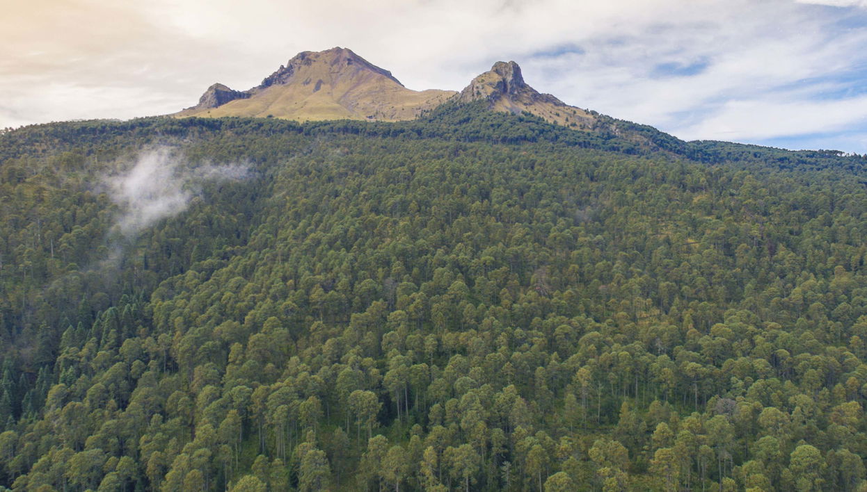 La Malinche National Park Trek - Foto 2