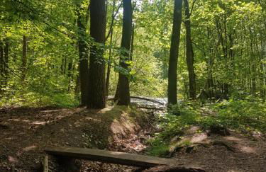 4 Sterne Ferienhaus "Vorwerk" - Foto 37