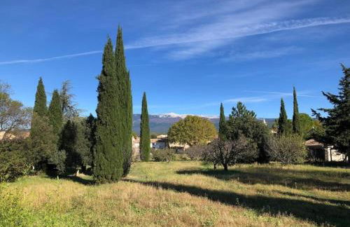 La Cigale Bleue - Foto 16