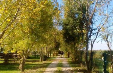 Antico Casale dei Sogni agriturismo - Foto 105