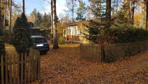 Gemutlicher Ferienbungalow am Felsensee bei Pretzien - Foto 4, Garden view