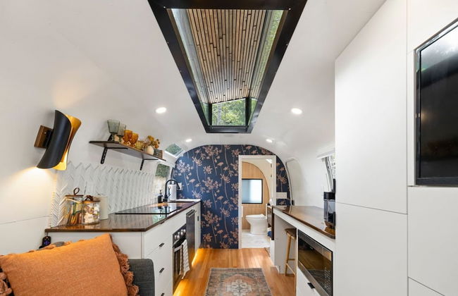 Silver Fern in Pisgah Forest - Foto 11