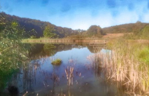 2 Bedroom Lovely Home In Zelazo - Foto 8